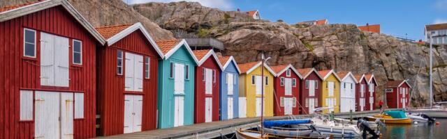 Going global: How startups are scaling via Sweden