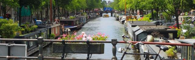 Dutch scale ups face €500 billion financing gap ⁠— report