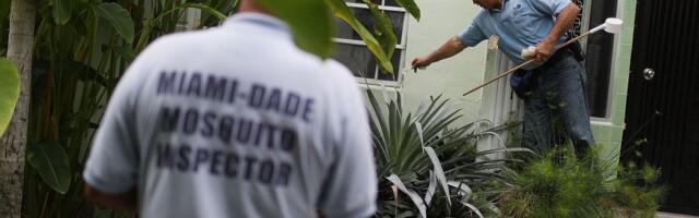 What could cause a malaria comeback in the US — and what could stop it