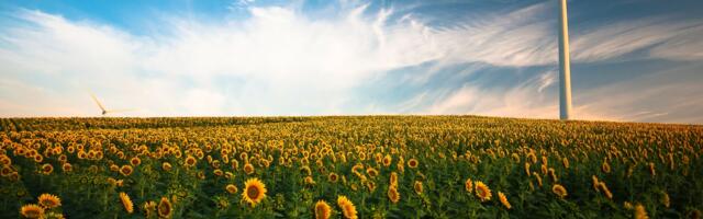 Dr Caroline Roche highlights her work in the renewable energy sector