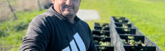 Federal cuts could shutter California’s farm to food bank program