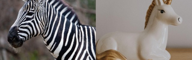 Bootstrapping vs VC: choosing the best way to fund your startup