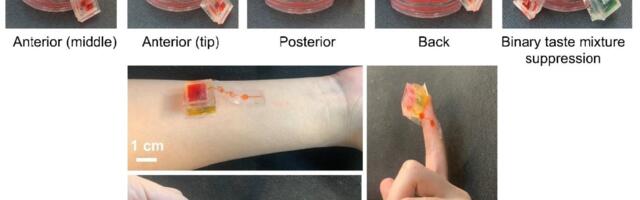 Scientists Develop a Device That Lets You Taste Video Games