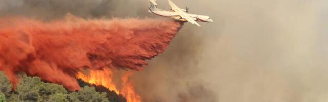 Europe Heat Wave: Tourist Death and Wildfires Spark Travel Warnings 