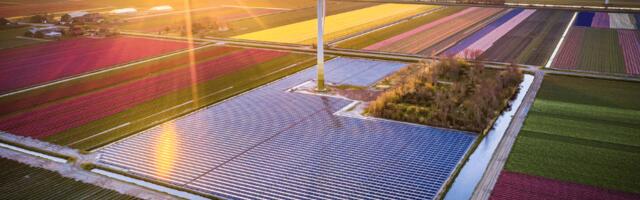 Dutch BV explained: Why it has become a go-to structure for international startups (Sponsored)