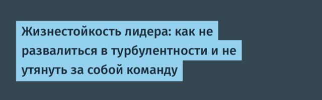 Жизнестойкость лидера: как не развалиться в турбулентности и не утянуть за собой команду