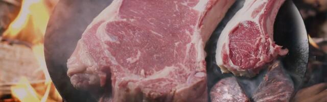 We've ranked all of Dragon's Dogma 2's meat grilling videos from worst to best