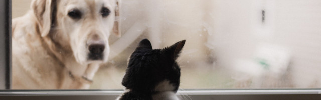 How corporates can find their “uncommon” startup partners