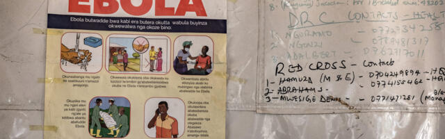 Ebola outbreak: WHO declares emergency, US restricts travel, American infected