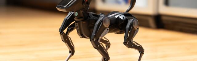 This Robot Dog Is As Good at Walking as I Am at Being a Robot Dog