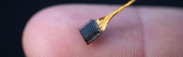 An inner-speech decoder reveals some mental privacy issues