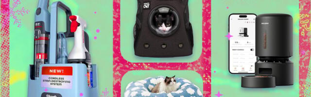 The best gifts for pets (and their parents): 35+ ideas that the internet and Mashable reporters stand by