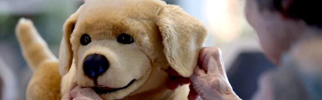 Robot Dog Visits Assisted-Living Facility video