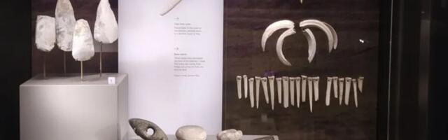 Archaeologists Thought This Famous Bronze Age Shaman Was a Guy. Well, She Wasn’t