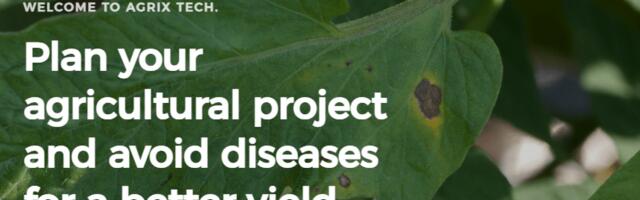 Cameroon’s Agrix Tech uses AI to help farmers prevent crop disease