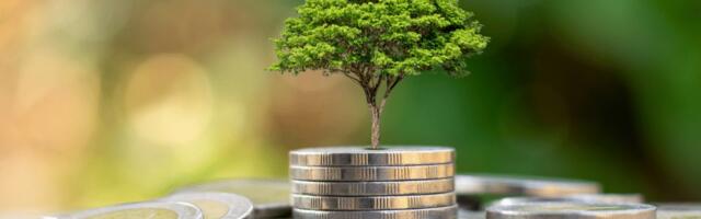 5 reasons why you should invest in impact