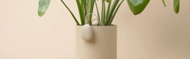 Meet OKO, it automates plant care so you can easily go green
