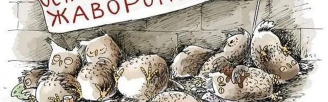 Совы и жаворонки: кому на удаленке жить хорошо?