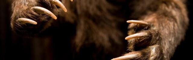 Bitcoin falls back below $67,000, rapidly giving back Wednesday's gains