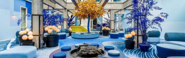 Room Mate Hotels CEO on the Loyalty Gap Squeezing Boutique Brands