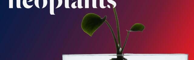 Bioengineered houseplant Neo P1 purifies your home