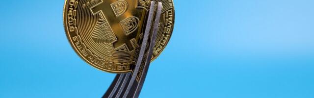 Bitcoin Holders to Get Free Coins Airdropped From Summer Fork Attempts