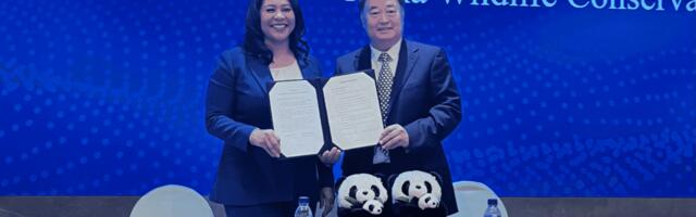 San Francisco To Welcome Pandas and More Flights From China