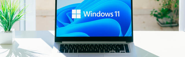 Microsoft Doesn't Recommend You Do This With Windows 11