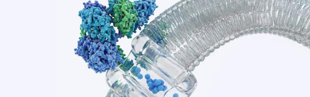 German BioTech iDEL Therapeutics lands €9 million to develop cancer therapeutics platform