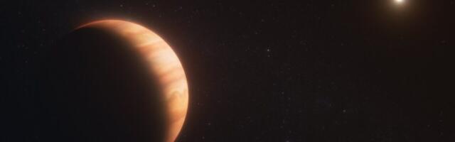 A Jupiter-size planet that escaped its star's death
