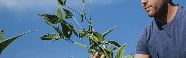 Lucent Bio raises $3.6M to reinvent crop nutrition and commercialize its microplastic-free seed coating technology
