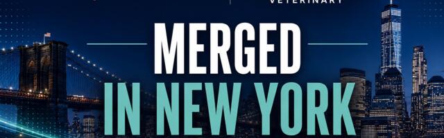 Bond Vet and Small Door Merge to Form One of the Nation’s Largest Premium Veterinary Networks