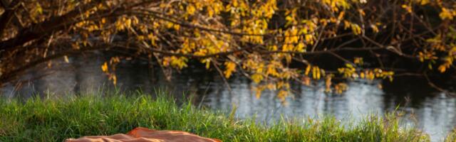 Stuff Your Kindle Day Gets Spooky for Halloween. Snag a Cornucopia of Books for Free or $1 Stuff Your Kindle Day Gets Spooky for Halloween. Snag a Cornucopia of Books for Free or $1