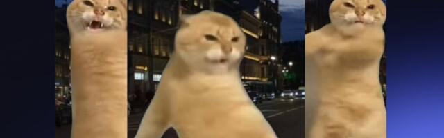 [Перевод] NVIDIA открыла исходный код KAI Scheduler — планировщика, ранее использовавшегося в платформе Run:ai