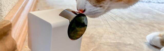 Best Home Pet Cameras of 2026: Watch From Anywhere