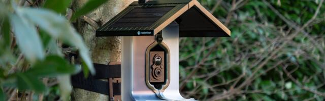 Is your bird feeder camera doing more harm than good? 3 tips for using it safely as RSPB issues urgent disease warning