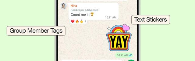 Meta is testing a WhatsApp Plus subscription that mostly focuses on cosmetic upgrades