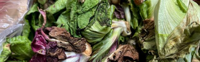 How to Keep Your Salad Greens From Liquifying in the Fridge