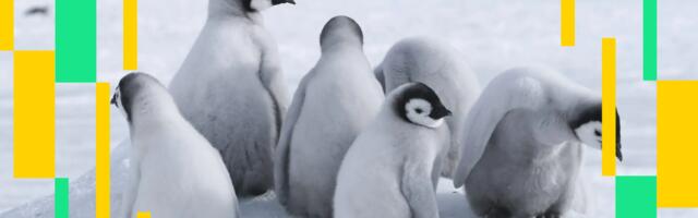 Crypto Markets Today: Bitcoin Pulls Back, PENGU Open Interest Surges