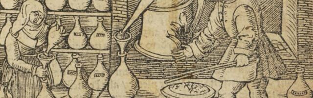 От зуба бегемота до петрушки: как проверяли лекарства в XVI веке в домашних условиях