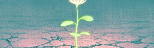 Hope vs. optimism, explained