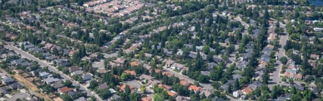 As California wildfires rage, one Bay Area insurer uses AI for coverage