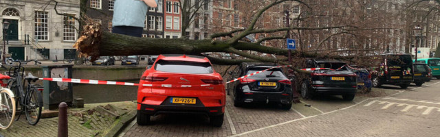 Amsterdam tree versus Jaguar i-Page: Jag wins