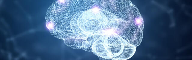 [Перевод] Учёные создали модель работающего мозга — и теперь, по словам одного из учёных, «возможности безграничны»