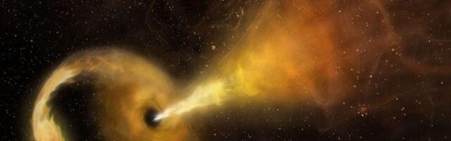 Astronomers Spotted a Wandering Black Hole at the Edge of Its Galaxy. Then It Found a Snack