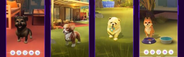 Furry creatures you can own with NFT rights; virtual pets Web3 startup DOGAMI closes $14 million