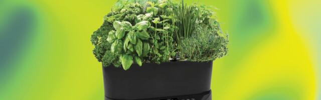 Grow Fresh Veggies and Herbs on Your Kitchen Counter With This Hydroponic Garden, Now 50% Off