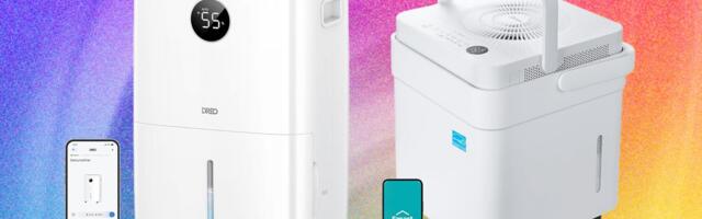 6 Best Dehumidifiers to Keep Your Home Mold-Free (2026)