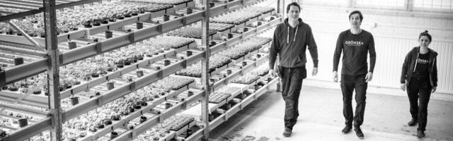 Daniel Schröder hired as CCO by Swedish food production company