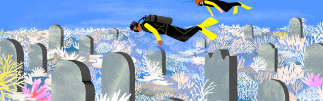 The end of coral reefs as we know them